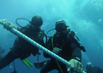 Cabo de Palos se convierte en epicentro nacional del buceo femenino con unas jornadas pioneras