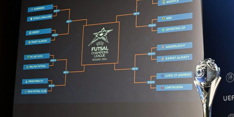 Luxol Andrews Futsal, próximo reto europeo del Jimbee Cartagena